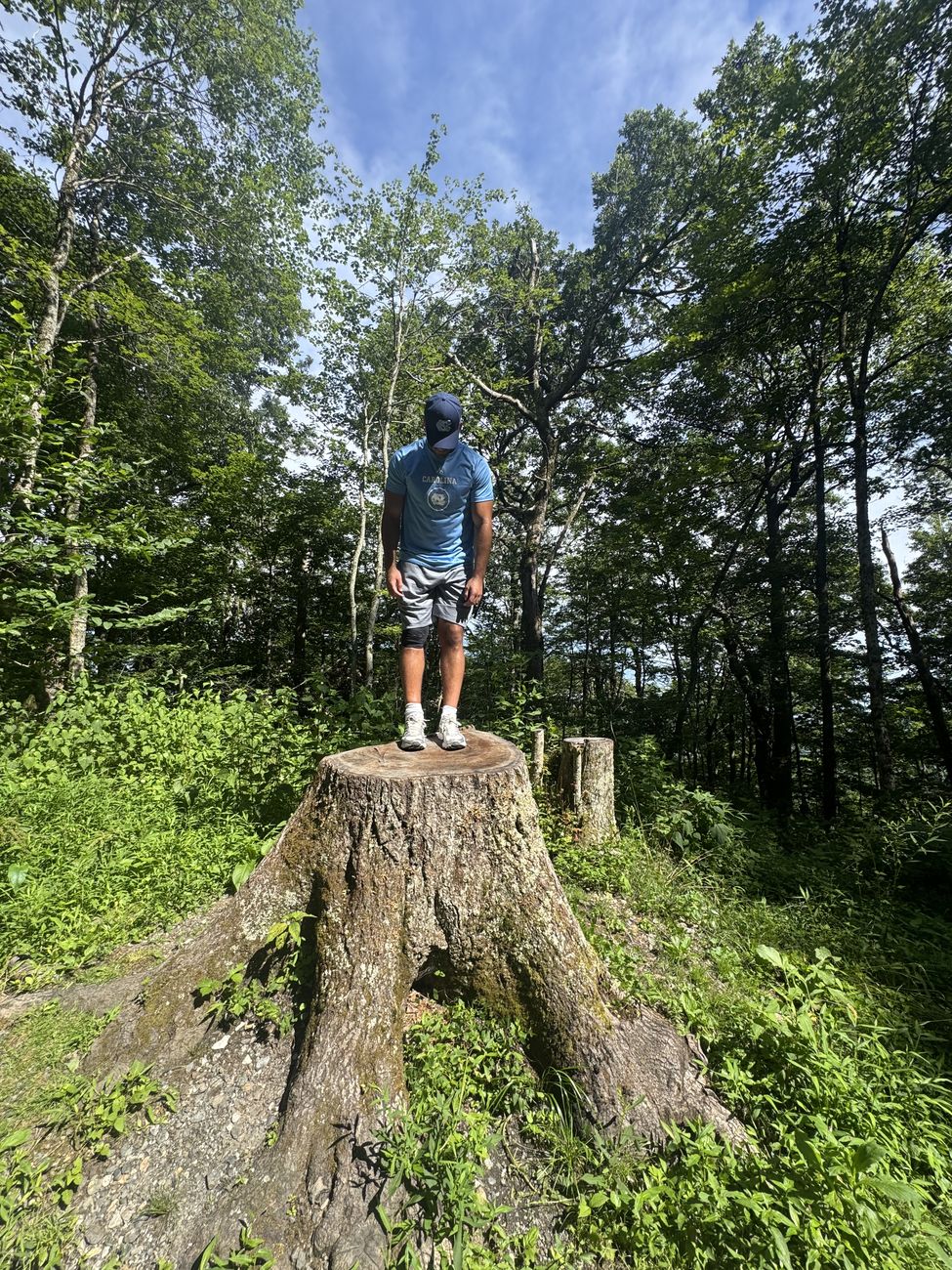 Pryce standing on a large tree stump in the woods